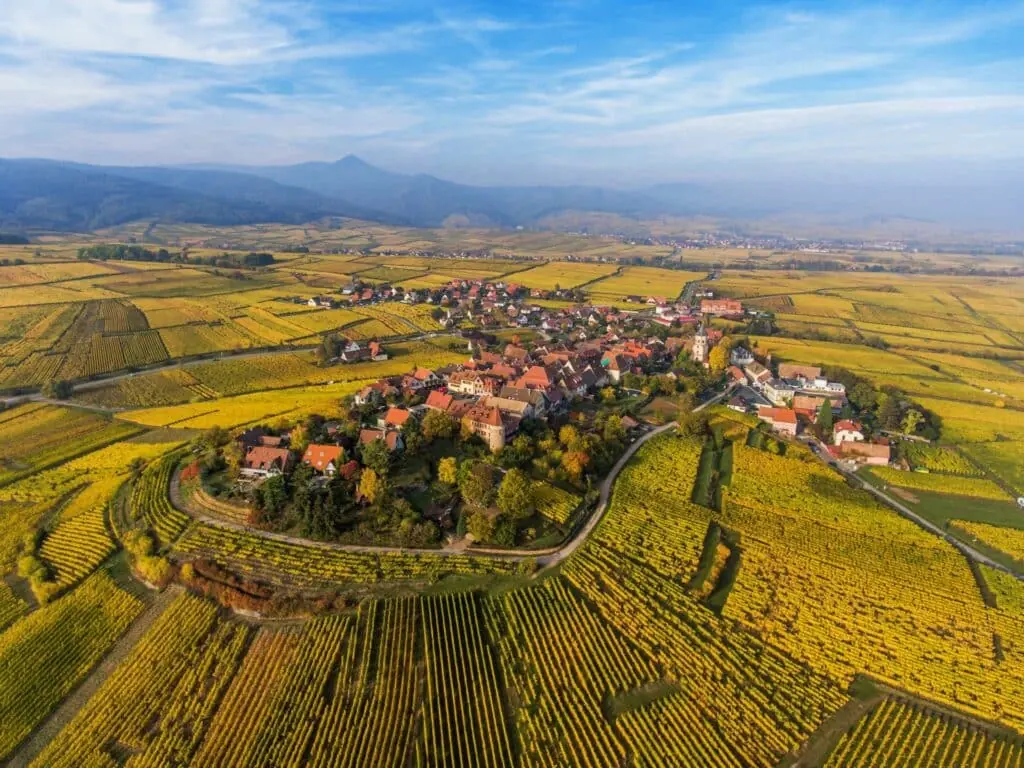 Vignoble de la Route des Vins d'Alsace