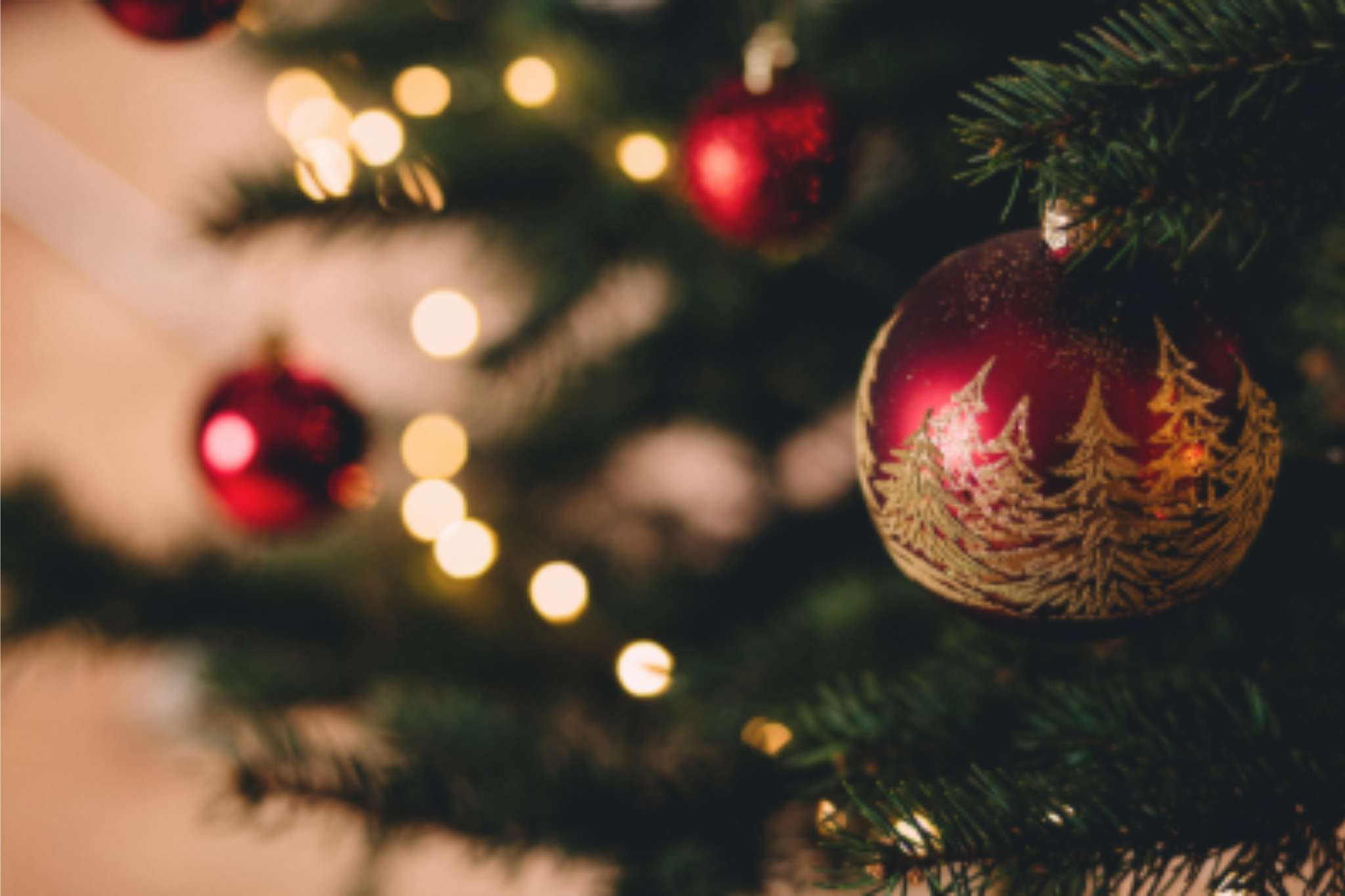 Mont Saint Odile en VTC