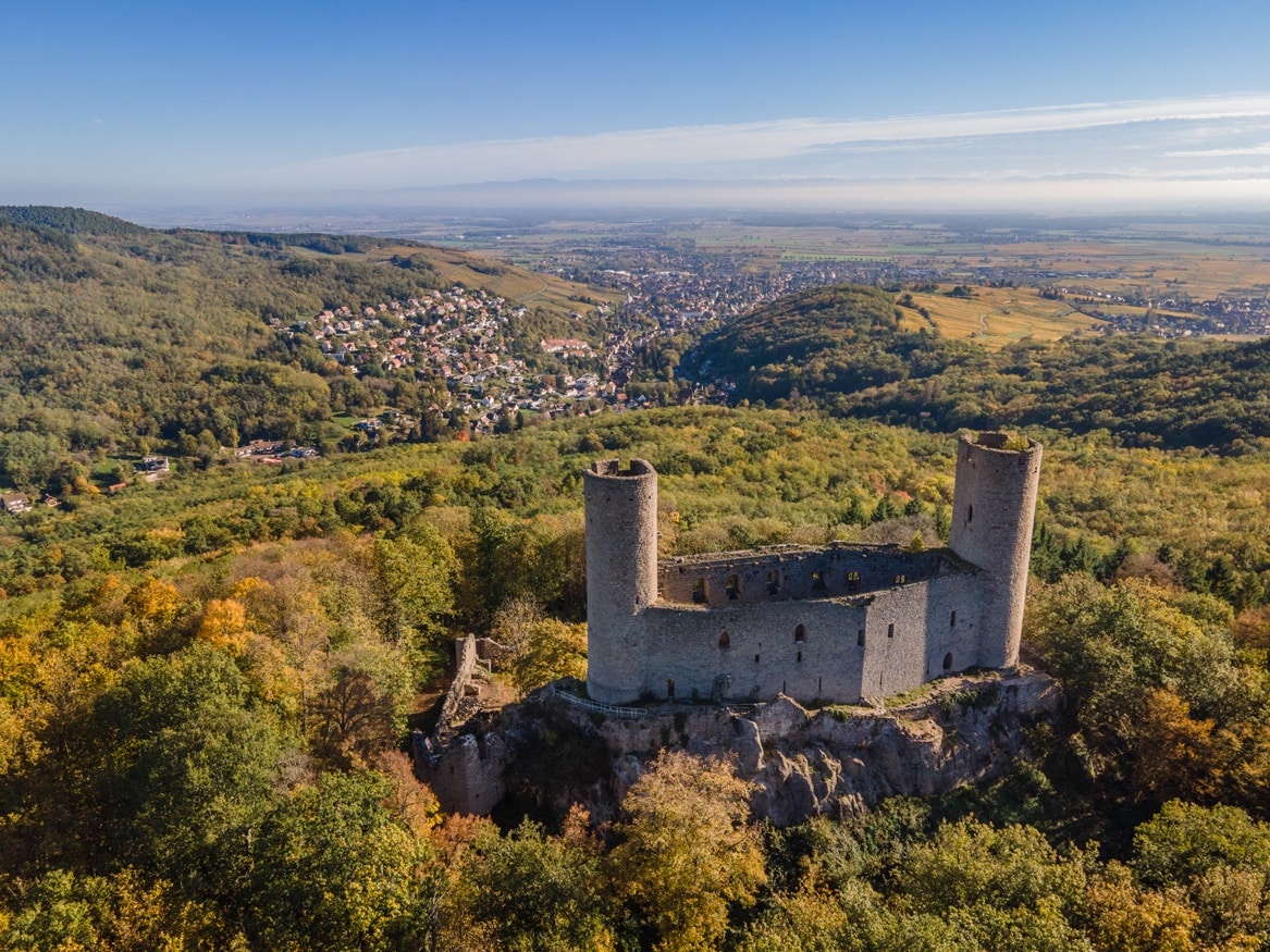 VTC Barr — Vue sur les vignobles alsaciens depuis la Route des Vins