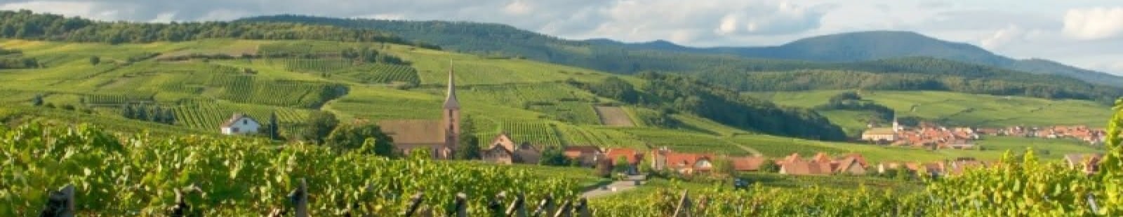 VTC Blienschwiller — Village vigneron et vignobles grand cru Winzenberg Alsace
