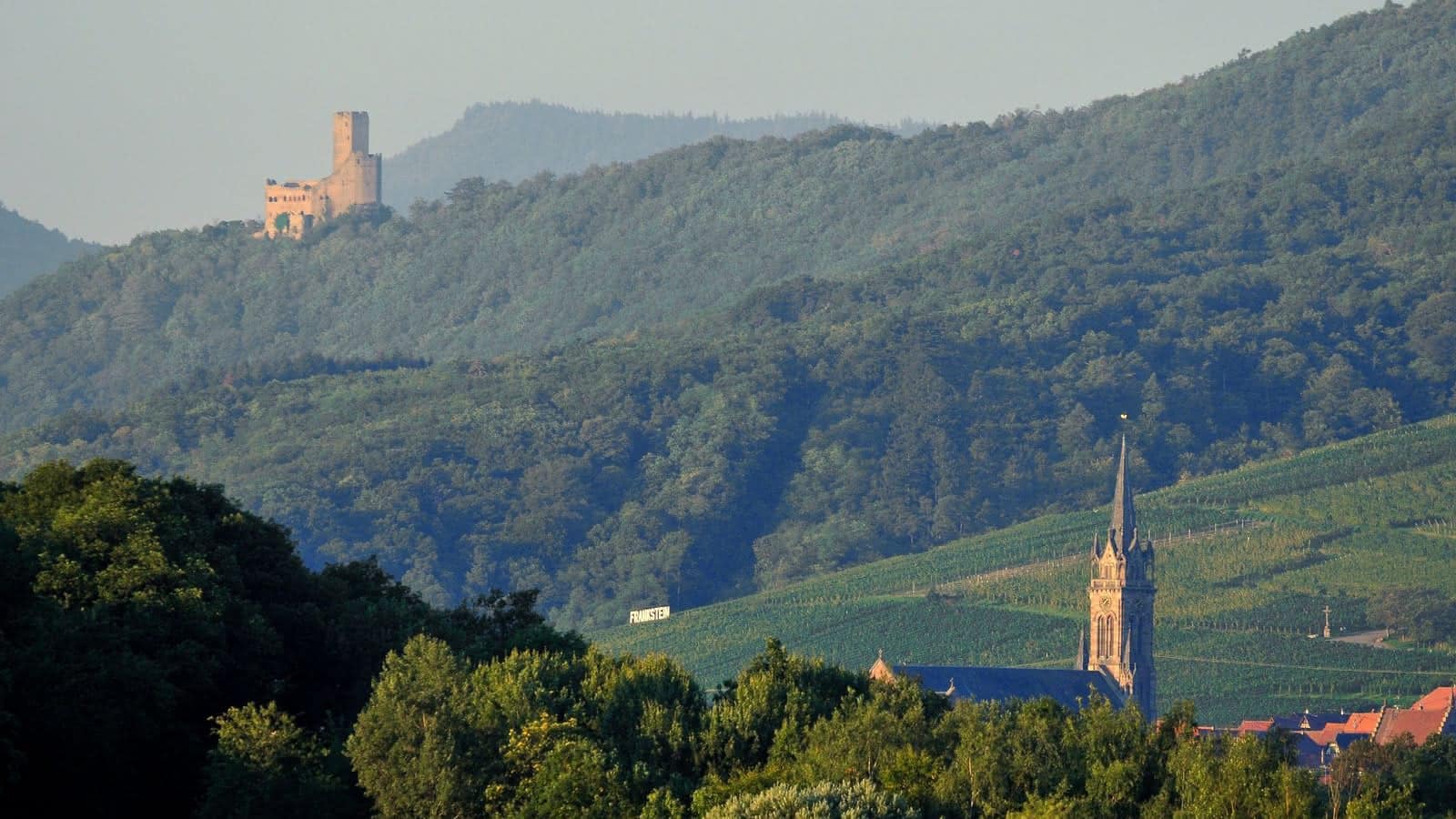 Vignoble du Frankstein à Dambach-la-Ville — Grand cru alsacien sur sol granitique