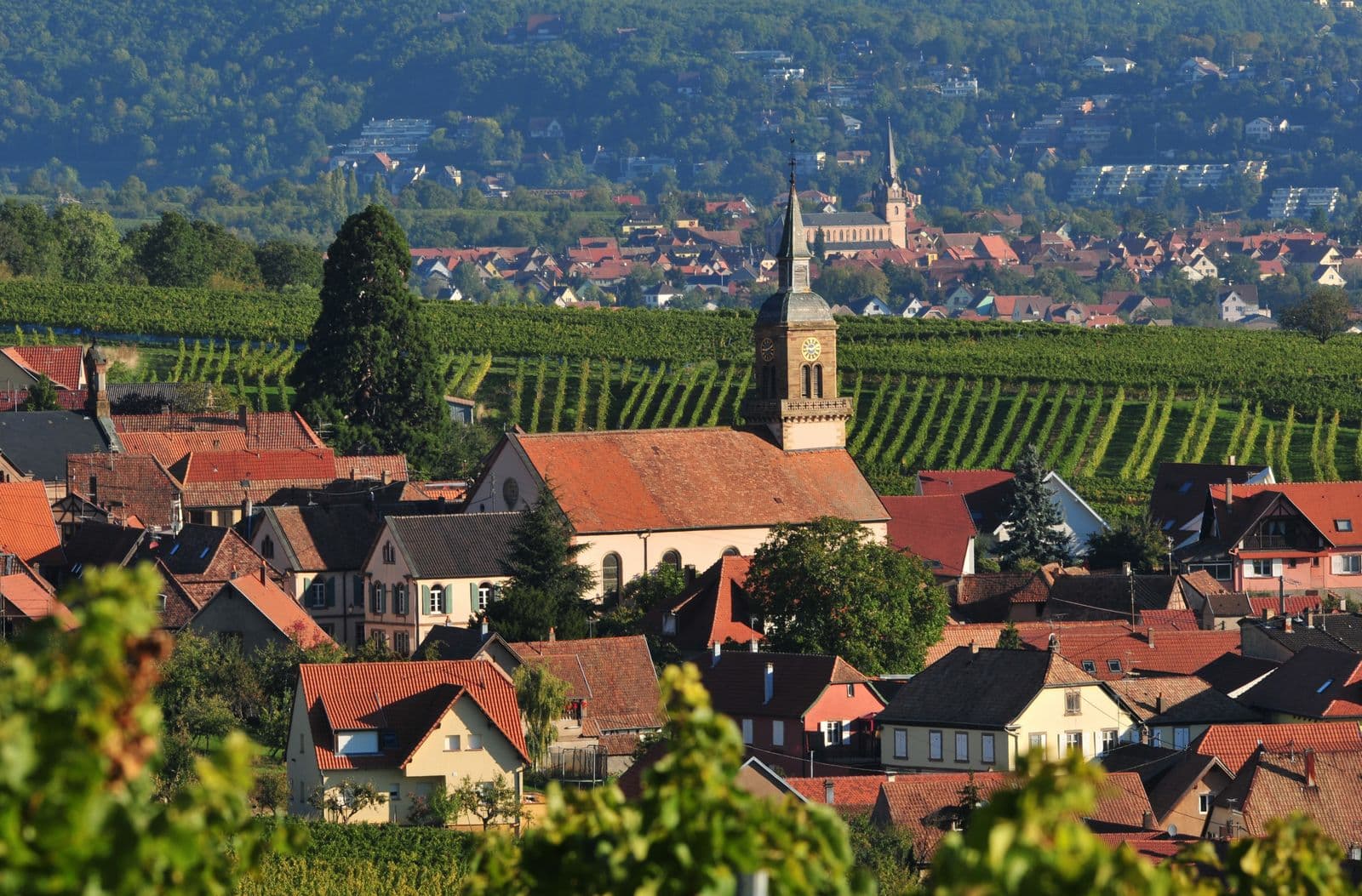 Panorama depuis Heiligenstein sur la plaine d'Alsace et la Forêt-Noire