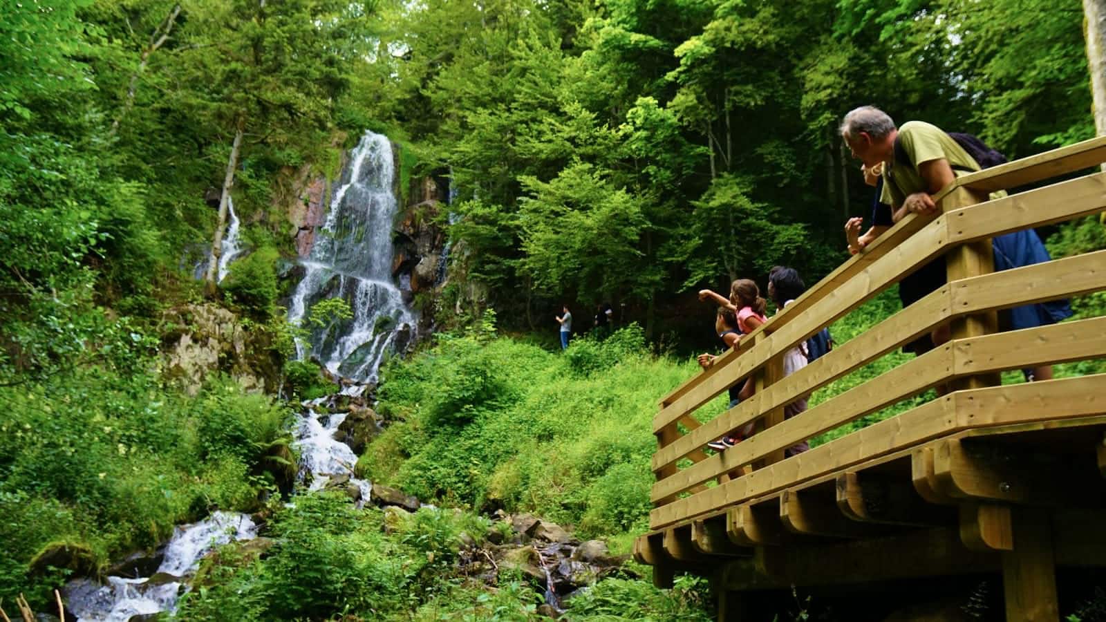 Cascade du Hohwald vue depuis la passerelle en bois — Promenade nature Alsace Vosges