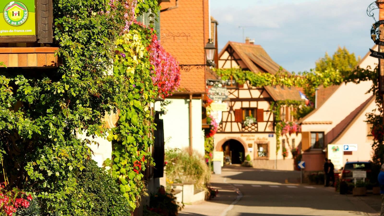 Itterswiller village fleuri — Géraniums et façades Route des Vins Itterswiller — Maisons à colombages fleuries et ruelles de ce village alsacien