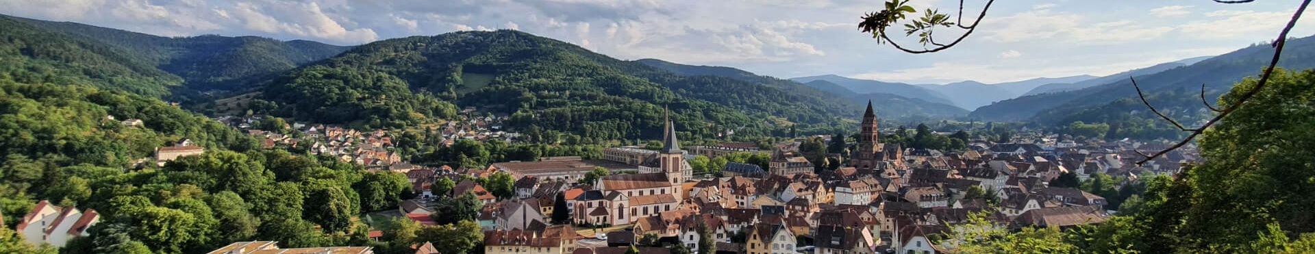 Vallée de Munster Alsace — Vosges et prairies, VTC Elsass VTC