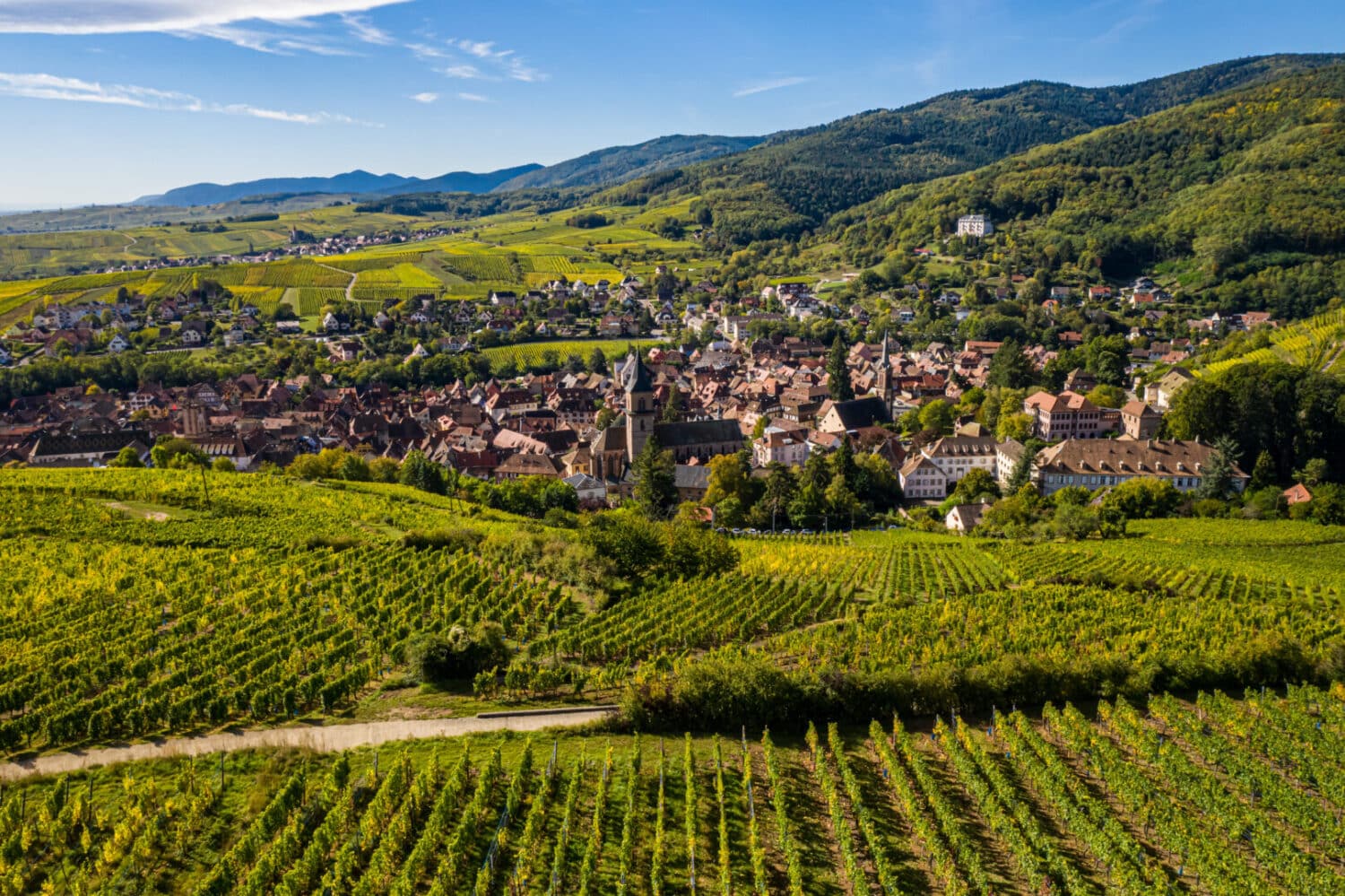 VTC Ribeauvillé — Elsass VTC Alsace Ribeauvillé Alsace — Vignobles et village médiéval, VTC Elsass VTC